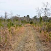 Alapaha River Camp images 4