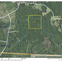 40 Acres Off County Road 3900