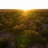 Red Canyon Ranch 448 Acres Childress Texas images 4