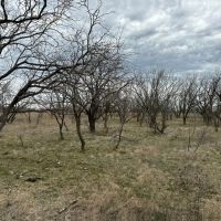 New Listing 13.1 Acres Tract 9 Callahan County