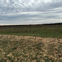 New Listing 13.1 Acres Tract 9 Callahan County images 4