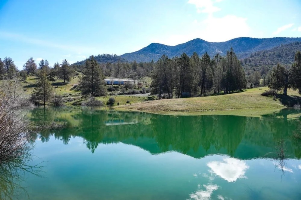 Blacktail Hills Retreat featured image
