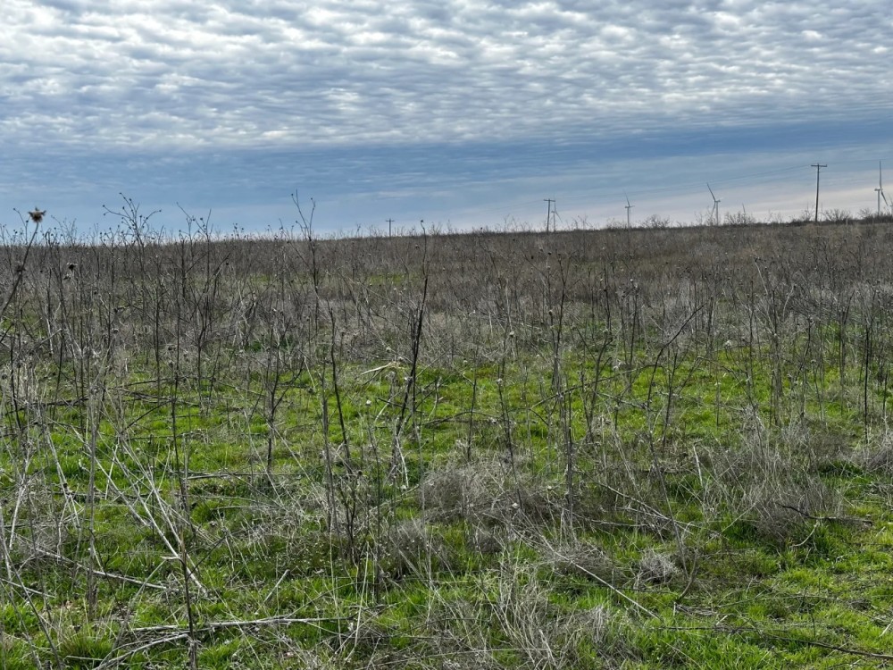 New Listing 10.5 Acres Tract 1 Callahan County featured image