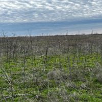 New Listing 10.5 Acres Tract 1 Callahan County