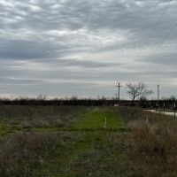 New Listing 10.5 Acres Tract 1 Callahan County images 2