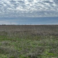New Listing 10.5 Acres Tract 1 Callahan County images 3