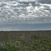 New Listing 10.5 Acres Tract 1 Callahan County images 4