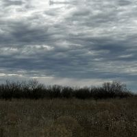 New Listing 10.5 Acres Tract 7 Callahan County images 4