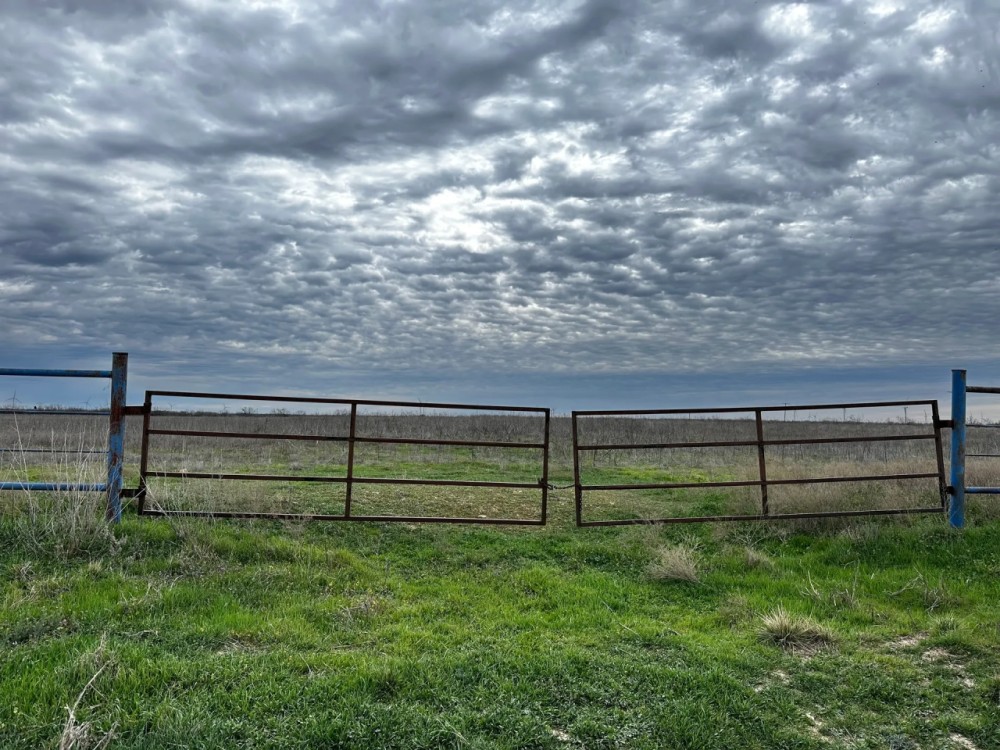 New Listing 10.5 Acres Tract 2 Callahan County featured image
