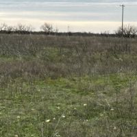 New Listing 10.5 Acres Tract 2 Callahan County images 3