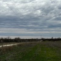 New Listing 10.5 Acres Tract 2 Callahan County images 4