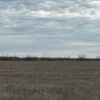 New Listing 10.5 Acres Tract 2 Callahan County images 5
