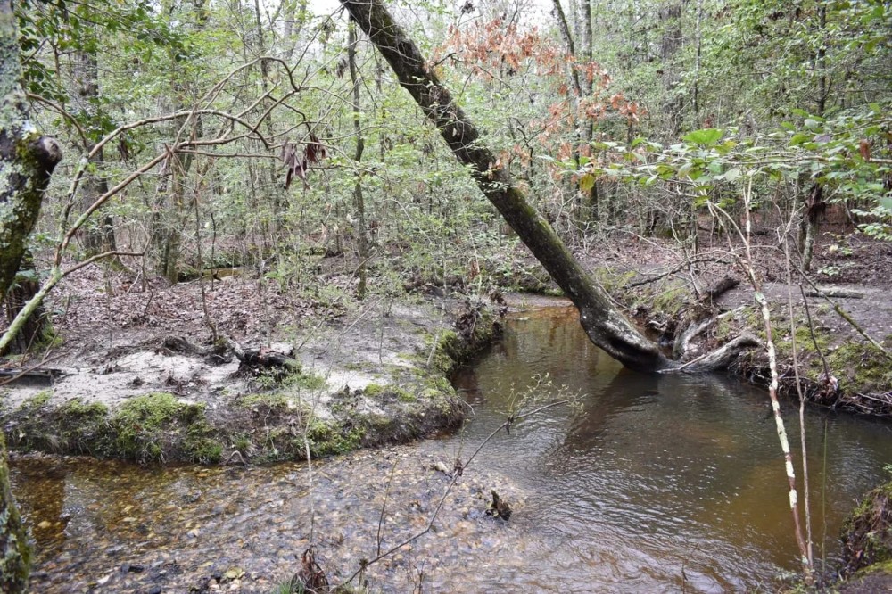 Grant Cutoff Pipeline featured image