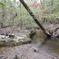 Grant Cutoff Pipeline