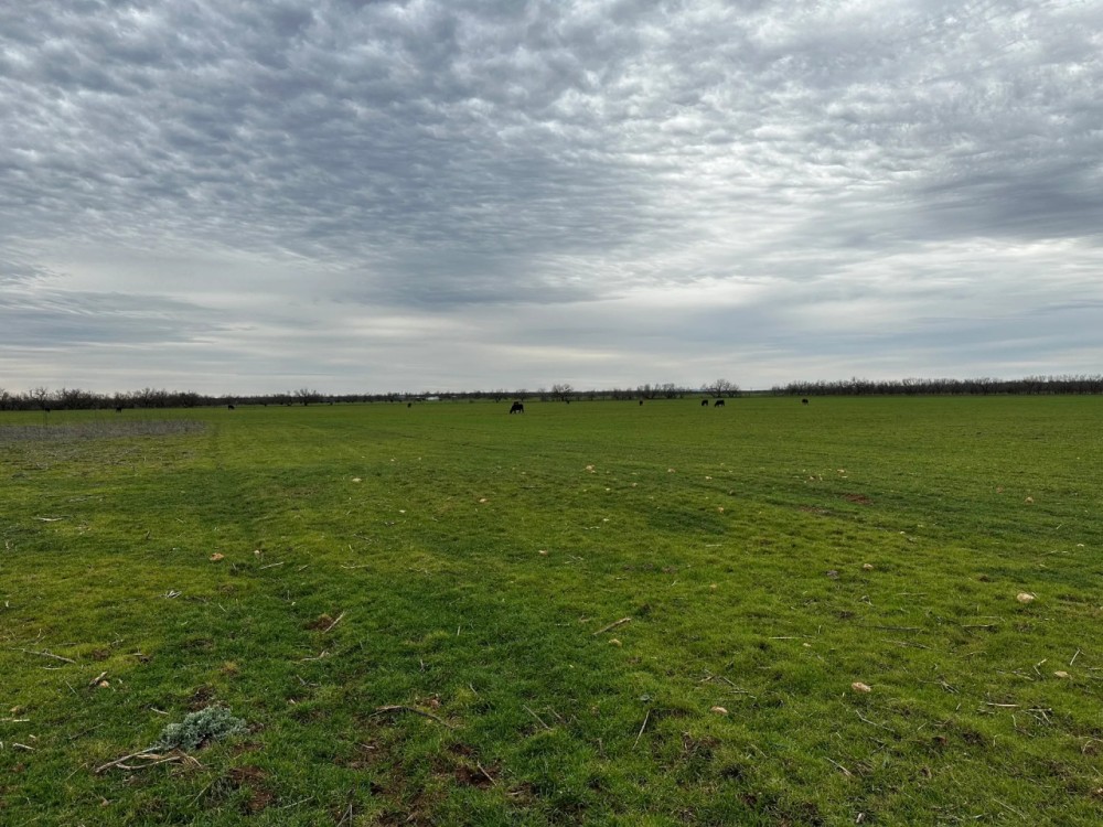New Listing 31.036 Acres Tract 24 Callahan County featured image