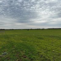 New Listing 31.036 Acres Tract 24 Callahan County