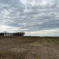 New Listing 31.036 Acres Tract 24 Callahan County images 3