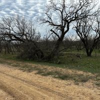 New Listing 31.036 Acres Tract 24 Callahan County images 4