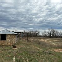 New Listing 31.036 Acres Tract 24 Callahan County images 5