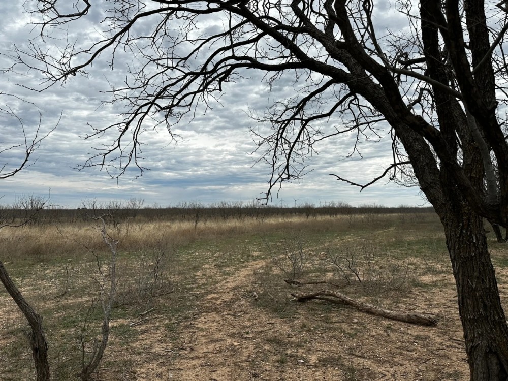 New Listing 20 Acres Tract 15 Shackelford County featured image