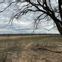 New Listing 20 Acres Tract 15 Shackelford County