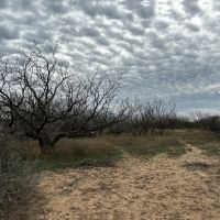 New Listing 20 Acres Tract 15 Shackelford County images 2