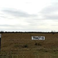 New Listing 20 Acres Tract 15 Shackelford County images 3