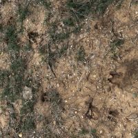 New Listing 20 Acres Tract 15 Shackelford County images 4
