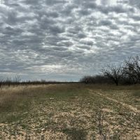 New Listing 20 Acres Tract 15 Shackelford County images 5