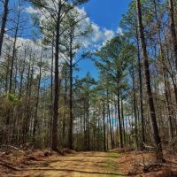 40.66 Acres in Hazlehurst in Copiah County MS
