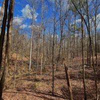 40.66 Acres in Hazlehurst in Copiah County MS images 2