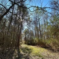 10 Acres Inside the City Limits of Kosciusko in Attala County MS images 4