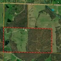 80.71 Acres Shouse Equipment Shed with Shop Private Setting Pond Texas County images 3