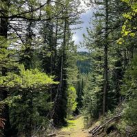 East Dempsey Creek Hideaway images 4