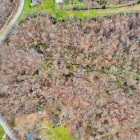 5.01 wooded acres located in Smith County Tennessee images 5