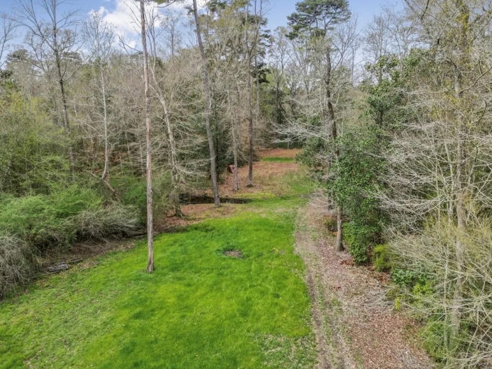 87 acres of Recreational Hunting Land with Hardwood Timber featured image
