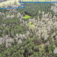 87 acres of Recreational Hunting Land with Hardwood Timber images 5