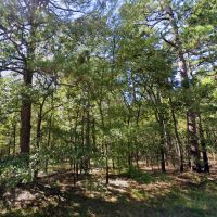12.76 Acres - Unrestricted - Crawford County AR images 2