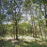 12.76 Acres - Unrestricted - Crawford County AR