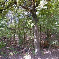 12.76 Acres - Unrestricted - Crawford County AR images 3