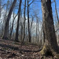 08-048-black-road-60 images 4