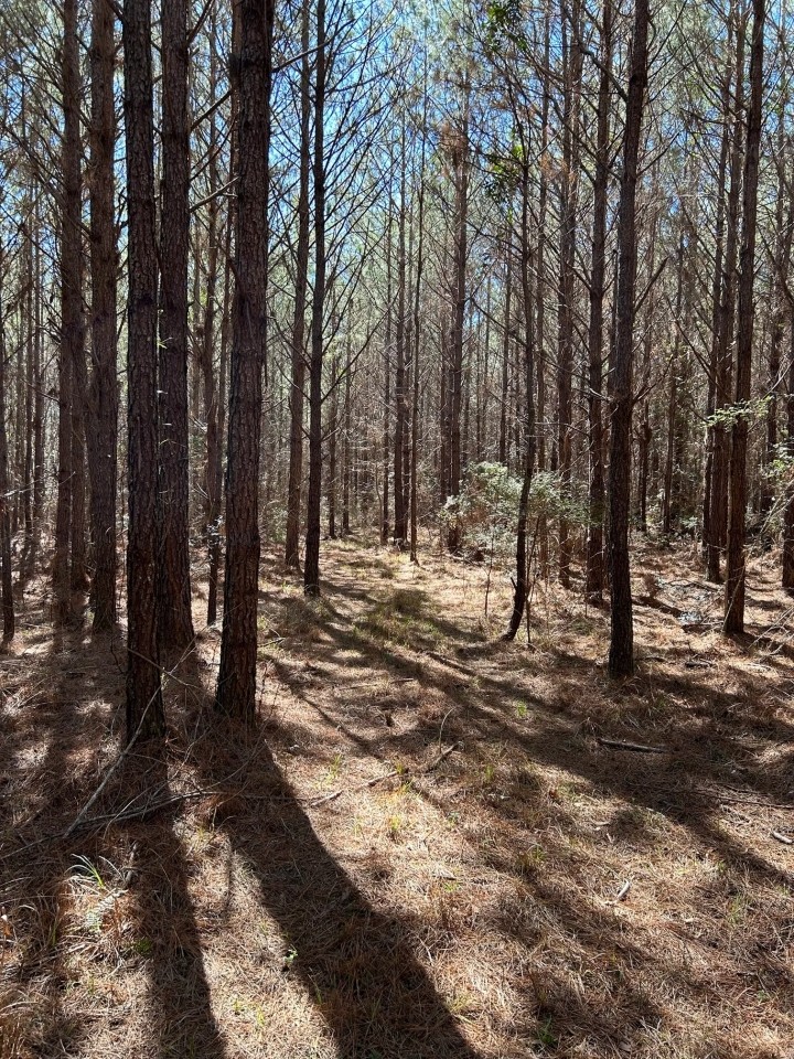 24-053-ivy-creek-road featured image