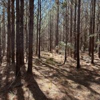 24-053-ivy-creek-road