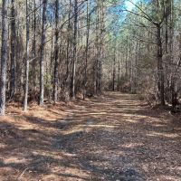 24-053-ivy-creek-road images 2