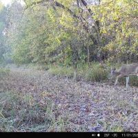 Recreational Property in Clinton CO. images 2