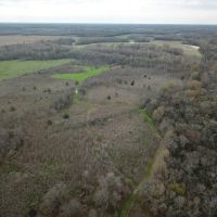 LA - Richland 68 acres - images 2