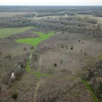 LA - Richland 68 acres - images 3