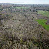 LA - Richland 68 acres - images 5