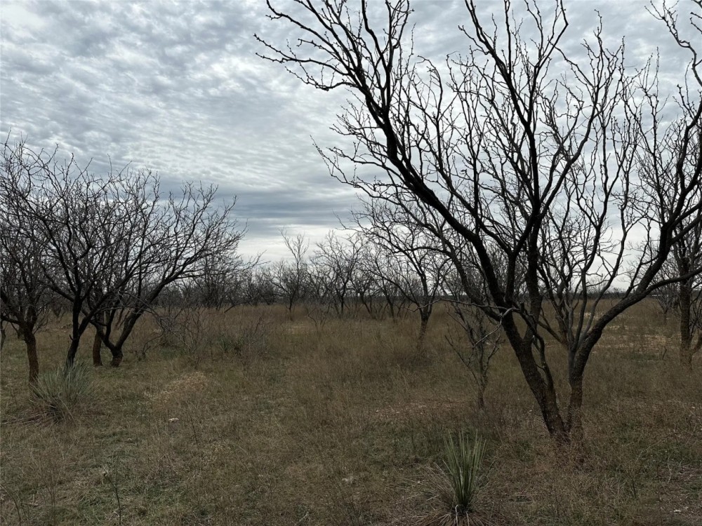 New Listing 10.5 Acres Tract 12 Shackelford County featured image