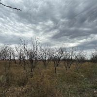 New Listing 10.5 Acres Tract 12 Shackelford County images 2